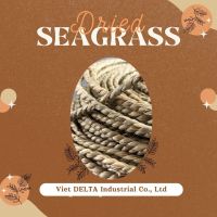 EXPORT STANDARD NATURAL DRIED SEAGRASS / ECO
