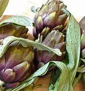 ARTICHOKE FLOWER HERBAL DRY | 100% PURE