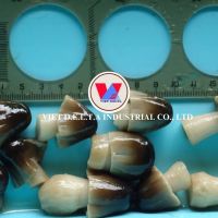 CLEAN LABEL CANNED STRAW MUSHROOM READY