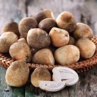 PURE CANNED STRAW MUSHROOM WHOLE IN BRINE FOR IMMUNE SUPPORT CLEAN LABEL PLANT BASED FOOD