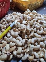 VIETNAMESE DRIED CASHEW KERNELS | UNROASTED | SUITABLE