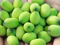 NATURAL DRIED LOTUS SEEDS | CLEANED AND