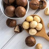 MACADAMIA NUTS PREMIUM WHOLE KERNEL PLANT
