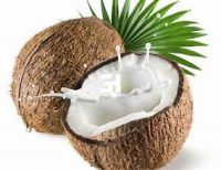 PLANT BASED COCONUT CREAM CONCENTRATE HIGH