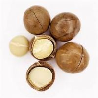 MACADAMIA NUTS WHOLE PURE NATURAL NON
