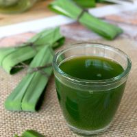 NATURAL FROZEN PANDAN JUICE / PURE LEAF