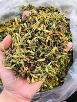 DRIED MALE PAPAYA FLOWER NATURAL CLEAN