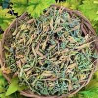 DRIED MALE PAPAYA FLOWER VIETNAM ORIGIN