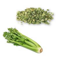 FACTORY PRICE BULK DEHYDRATED CELERY SLICES