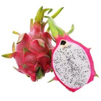 TOP SALES WHOLESALE WHITE DRAGON FRUIT PUREE HOT DEAL PREMIUM QUALITY BULK SUPPLY NATURAL TROPICAL FRUIT READY TO USE