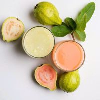 WHOLESALE TOP SALES PINK GUAVA PUREE