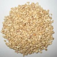 BULK SUPPLY WHOLESALE CASHEW NUT BABY