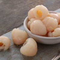 HOT DEAL LYCHEE CANNED WHOLESALE BULK