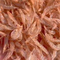 WHOLESALE BABY DRIED SHRIMP / PREMIUM BULK