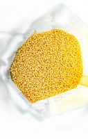 HIGH QUALITY MILLET GRAIN 100% PURE