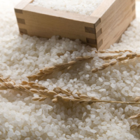 VIETNAM BROKEN RICE BULK SUPPLY HIGH QUALITY NATURAL RICE FOR EXPORT