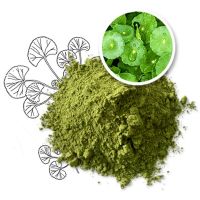 TOP SALES GOTU KOLA POWDER BULK