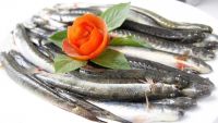 PREMIUM FROZEN GOBY FISH NATURAL SEAFOOD