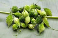 WHOLESALE BULK DRIED BITTER MELON PREMIUM