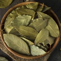 HOT DEAL BAY LEAVES PREMIUM QUALITY