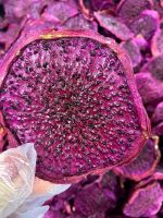 DRIED DRAGON FRUIT PREMIUM QUALITY NATURAL