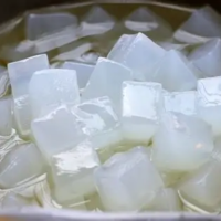 NATA DE COCO | PREMIUM QUALITY | READY