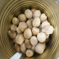 PREMIUM STRAW MUSHROOM IN BRINE | 100