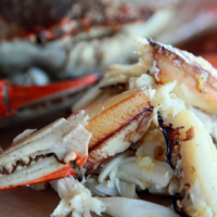 WHOLESALE FROZEN CRAB MEAT | CLEAN LABEL