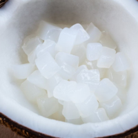 WHOLESALE NATA DE COCO | NON-GMO
