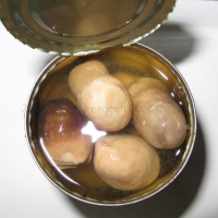 PREMIUM STRAW MUSHROOM IN BRINE | 100