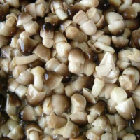PURE CANNED STRAW MUSHROOM | BULK EXPORT