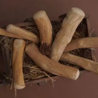 WHOLESALE DOG CHEW FROM COFFEE WOOD