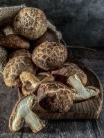 PREMIUM SHIITAKE MUSHROOM STEMS HIGH QUALITY
