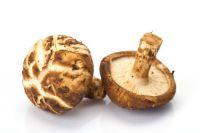 DRIED SHIITAKE MUSHROOM STEMS WHOLESALE SUPPLIER FROM VIETNAM