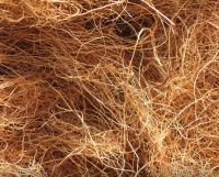 ORGANIC COCONUT COIR FIBER CLEAN LABEL