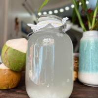 PLANT BASED COCONUT KEFIR NATURAL DIGESTIVE