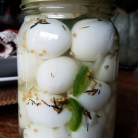 PREMIUM QUALITY CANNED QUAIL EGGS CLEAN