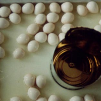 ORGANIC CANNED QUAIL EGGS SHELLED AND