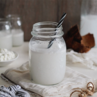 ORGANIC COCONUT KEFIR NON DAIRY FERMENTED