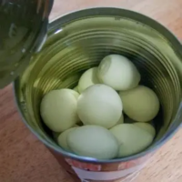 WHOLESALE CANNED QUAIL EGGS READY TO