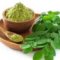PURE NATURAL MORINGA POWDER FOR HEALTH