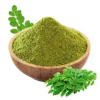 HIGH QUALITY MORINGA LEAF POWDER WITH