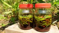 PICKLED GREEN PEPPER READY TO EAT