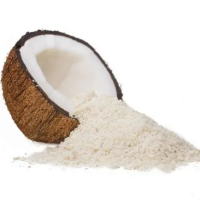HIGH QUALITY DESICCATED COCONUT RICH IN