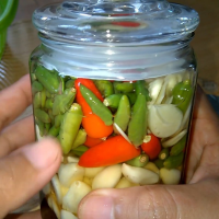 WHOLESALE PICKLED GREEN PEPPER FOR FOOD