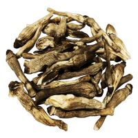 HIGH QUALITY DRIED TERMITE MUSHROOM FOR