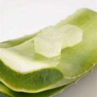 BEST QUALITY FROZEN ALOE VERA FROM