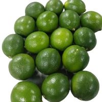 TOP QUALITY FRESH GREEN LIME FOR