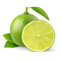 EXPORT STANDARD FRESH LIME FOR GLOBAL