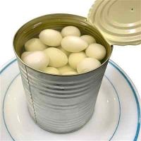 PREMIUM CANNED QUAIL EGGS FOR GLOBAL